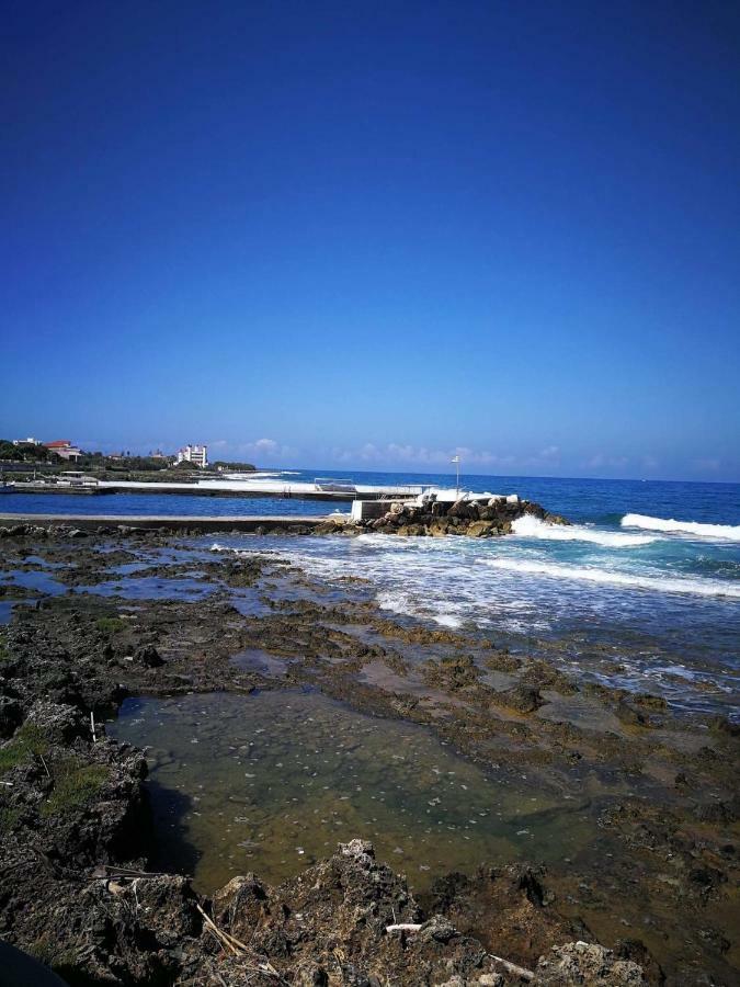 ホテル Porto Marathos マラトポリス エクステリア 写真